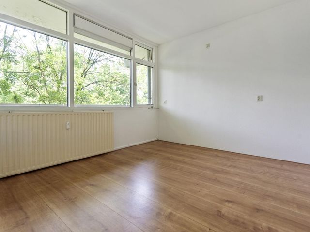 Pinksterbloemweg 151, Zaandam