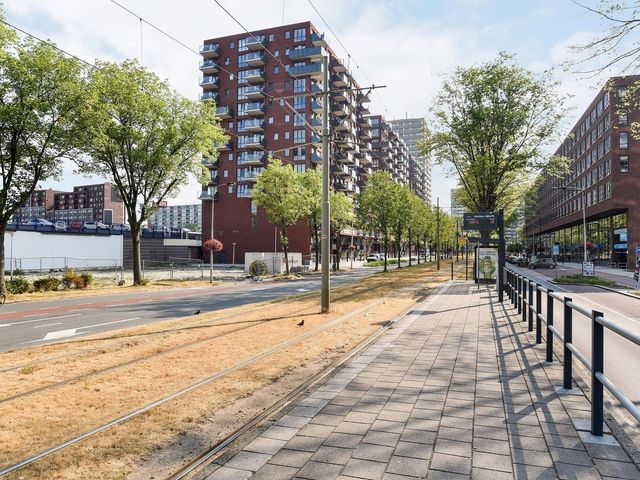Martinus Nijhofflaan 558, Delft