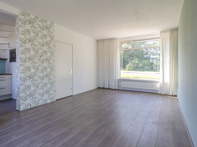 Kievitstraat 135, Den Helder