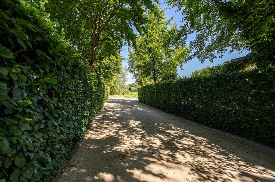 Hogewaldseweg ONG