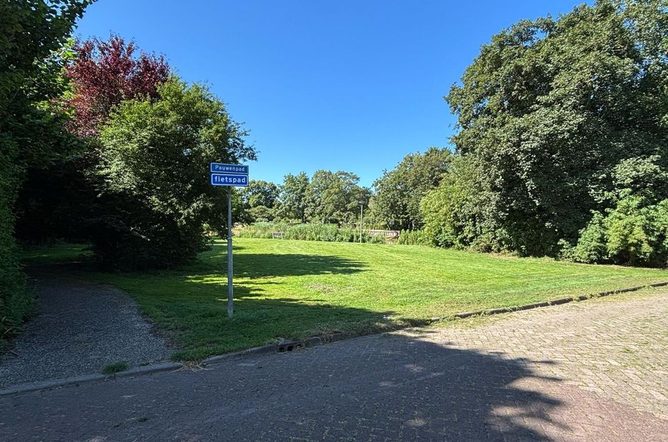 Iepenlaan 8