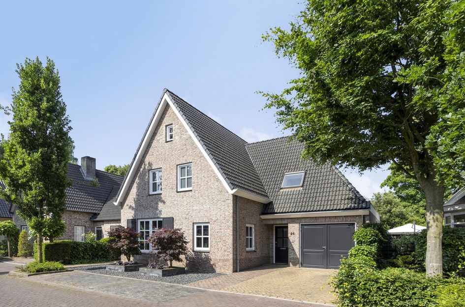 Dotterbloem 26