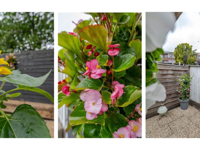 Bonaventurastraat 23B, Rotterdam