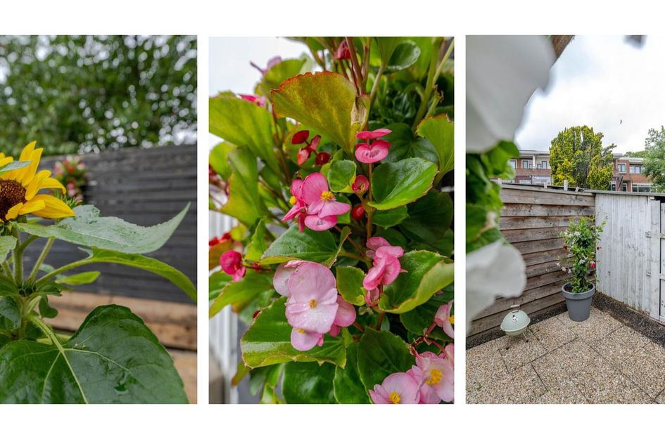 Bonaventurastraat 23B