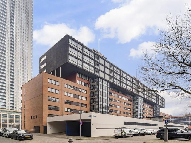 Gedempte Zalmhaven 811, Rotterdam