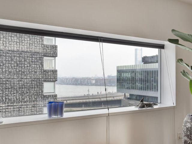Gedempte Zalmhaven 811, Rotterdam