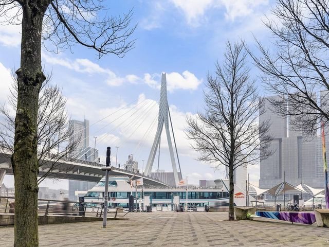 Gedempte Zalmhaven 811, Rotterdam