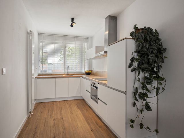 Doorzwin 2635, Julianadorp
