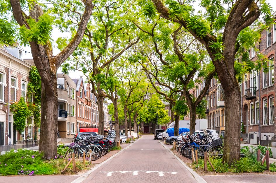 Blommersdijkselaan 38A