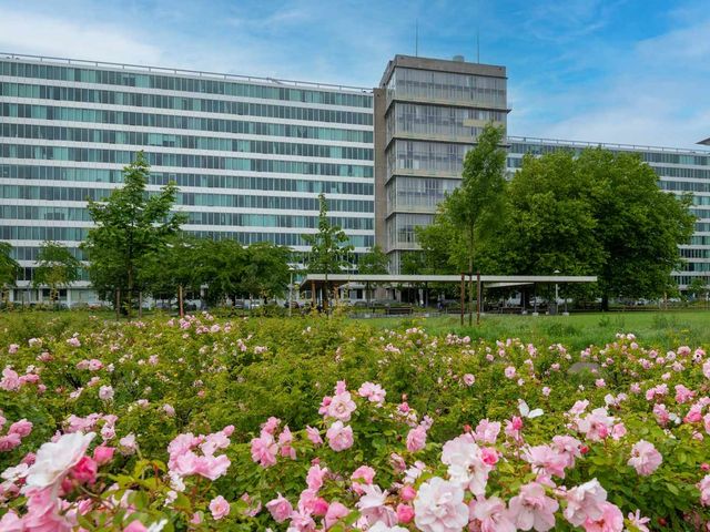 Bos en Lommerplantsoen 11D, Amsterdam