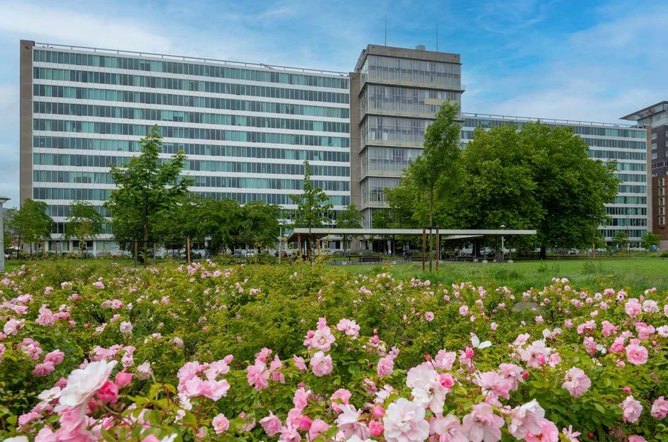 Bos en Lommerplantsoen 11D