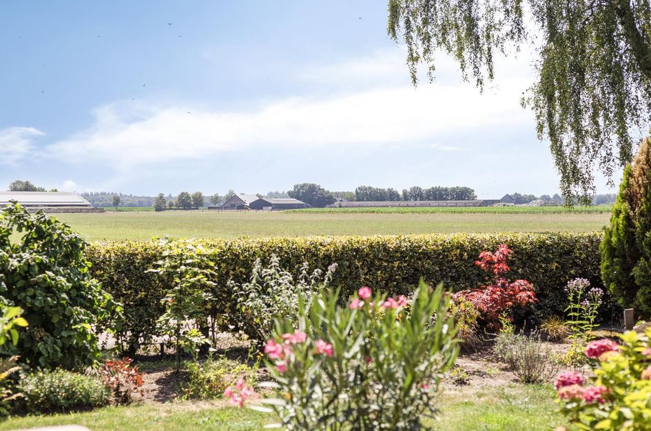 De Stille Wille 317