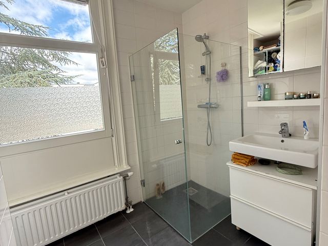 Domselaerstraat 61 3, Amsterdam