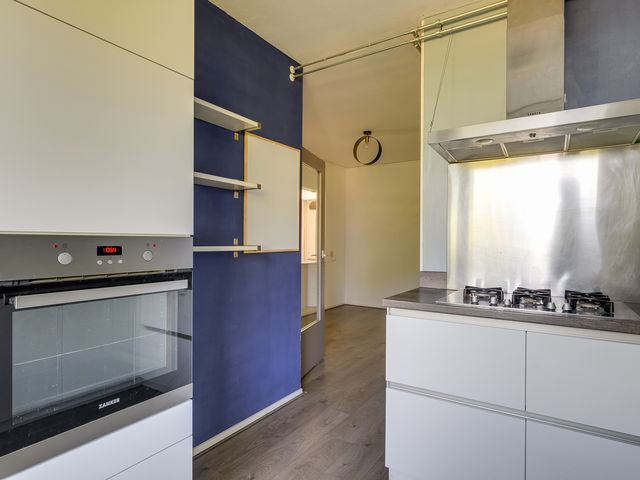 Ds van den Boschlaan 103, Rijswijk