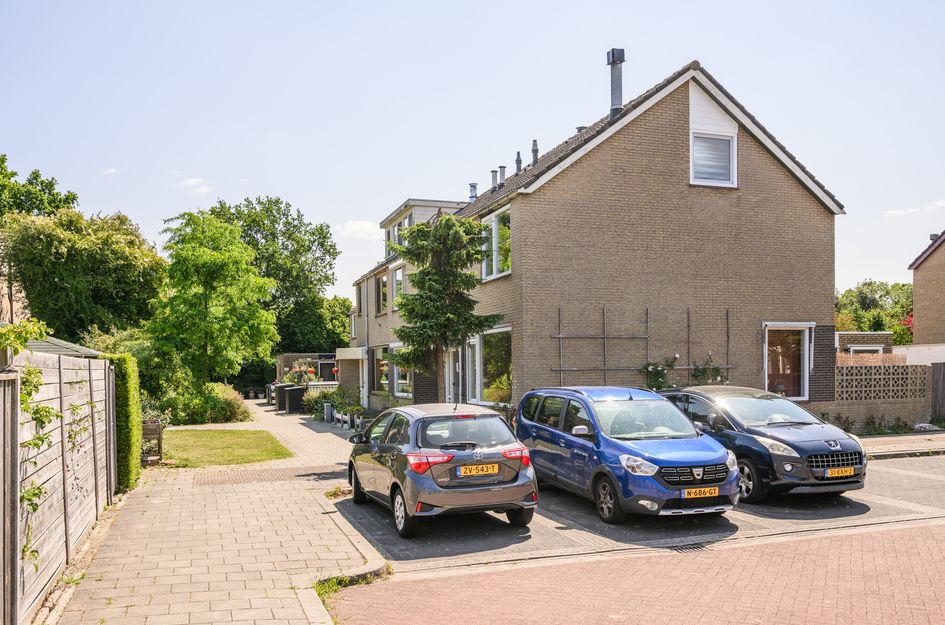 Wijngaard 188