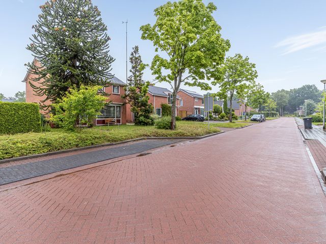 H. Goeman Borgesiusstr 9, Schildwolde