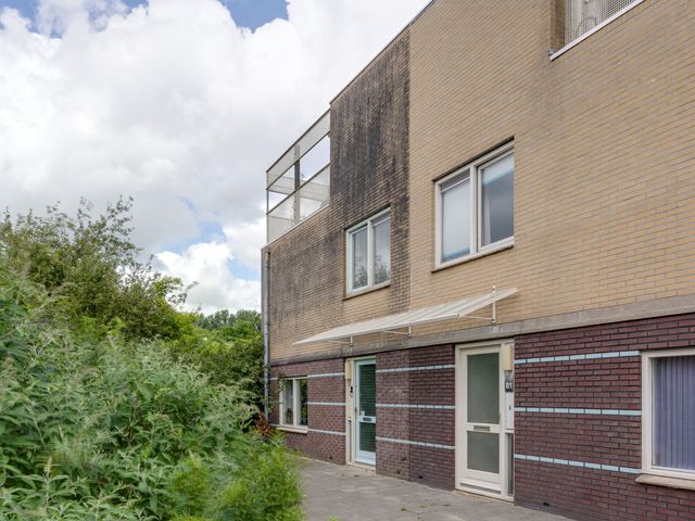 Dwergvinvisstraat 79, Amsterdam