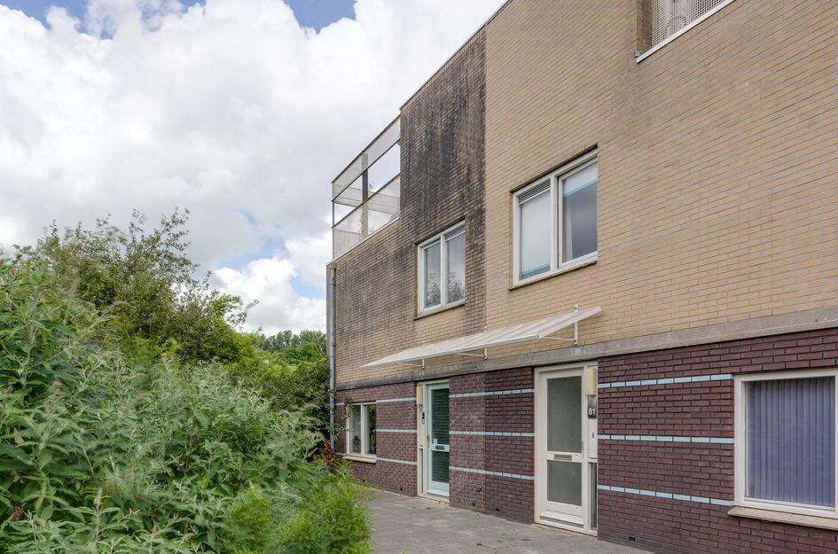 Dwergvinvisstraat 79