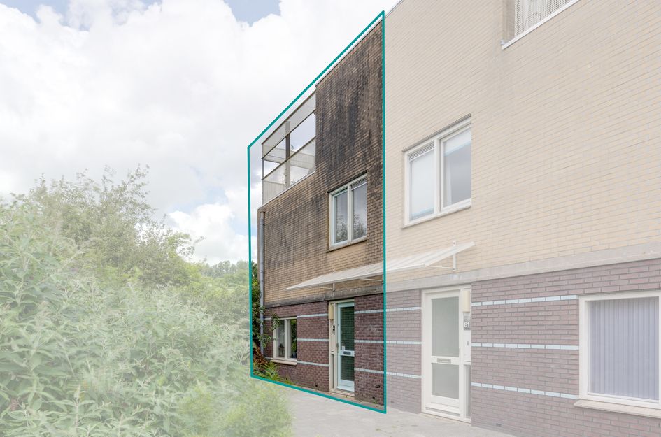 Dwergvinvisstraat 79