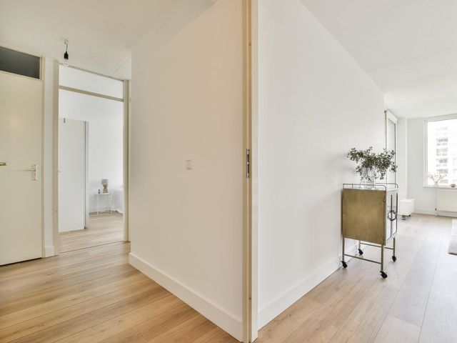 Hermelijnvlinder 11, Diemen