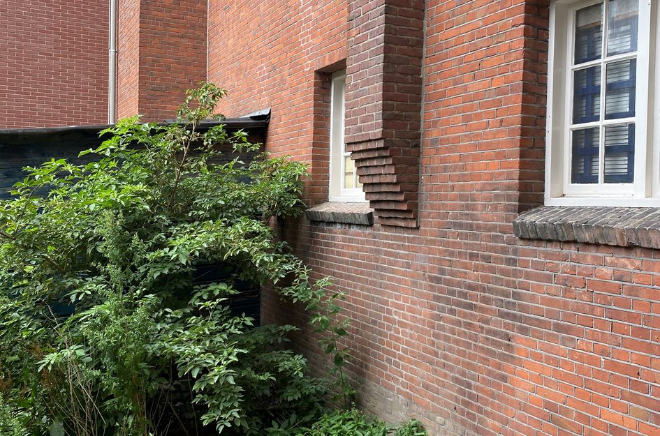 Lange Hilleweg 189B