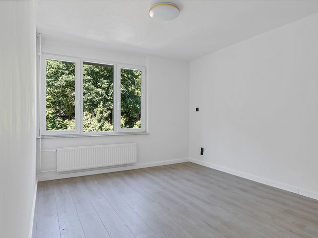 Karveel 34, Hoorn