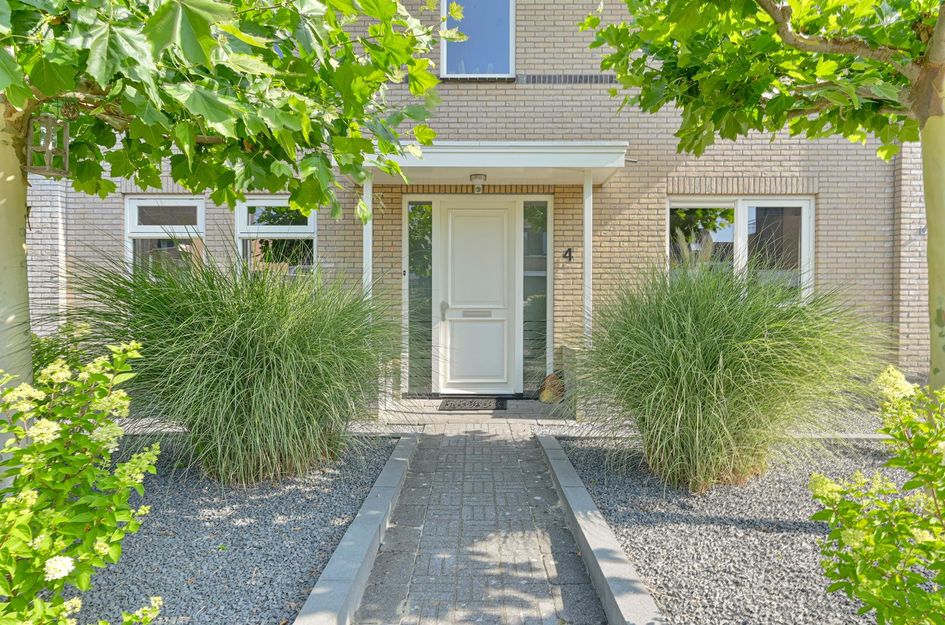 Meerval 4
