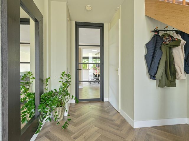 Meerval 4, Hoogeveen