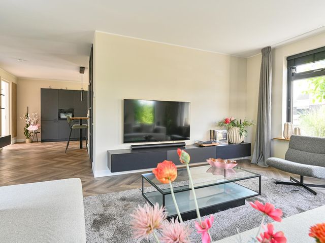 Meerval 4, Hoogeveen