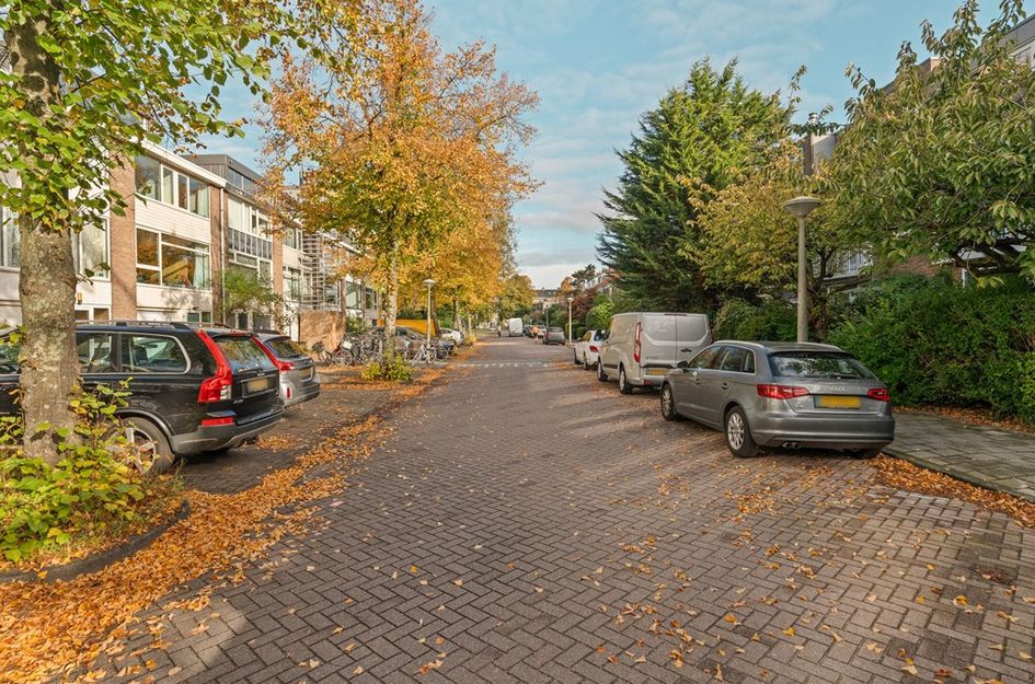 Willem Pijperstraat 58