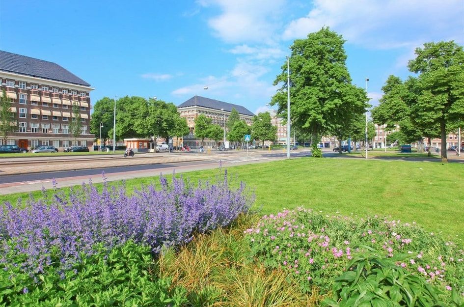 Willem Pijperstraat 58