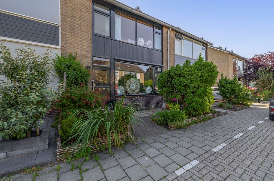Anna Paulownastraat 17