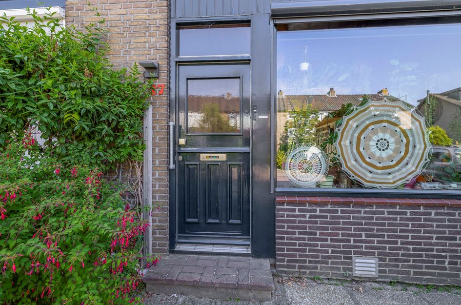 Anna Paulownastraat 17