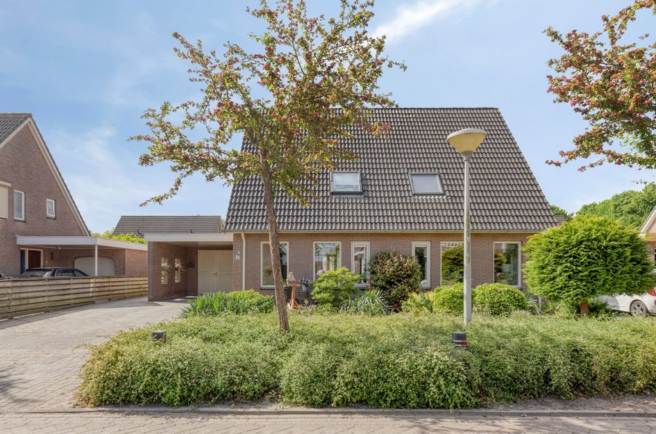 Lavendelheide 8