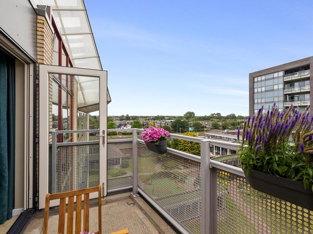 Landbouwstraat 386, Julianadorp