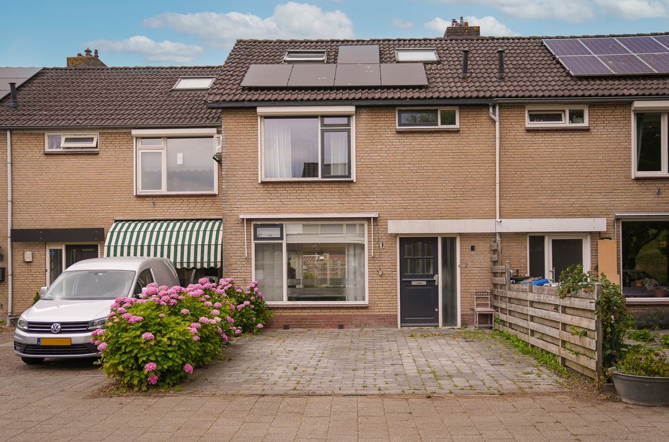 Tuin 3