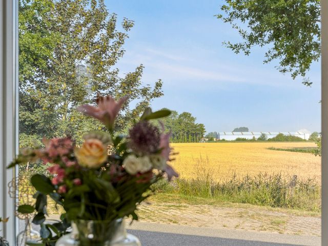 Boomdijk 9, Wolphaartsdijk