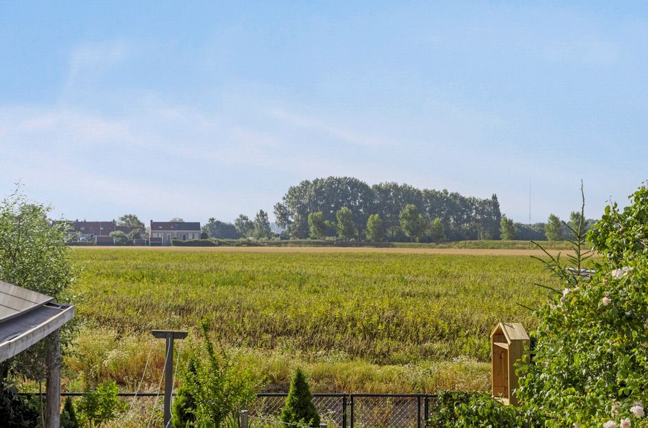 Boomdijk 9
