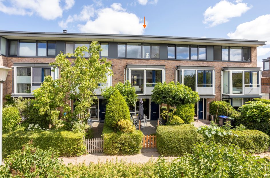 Hoornplantsoen 30