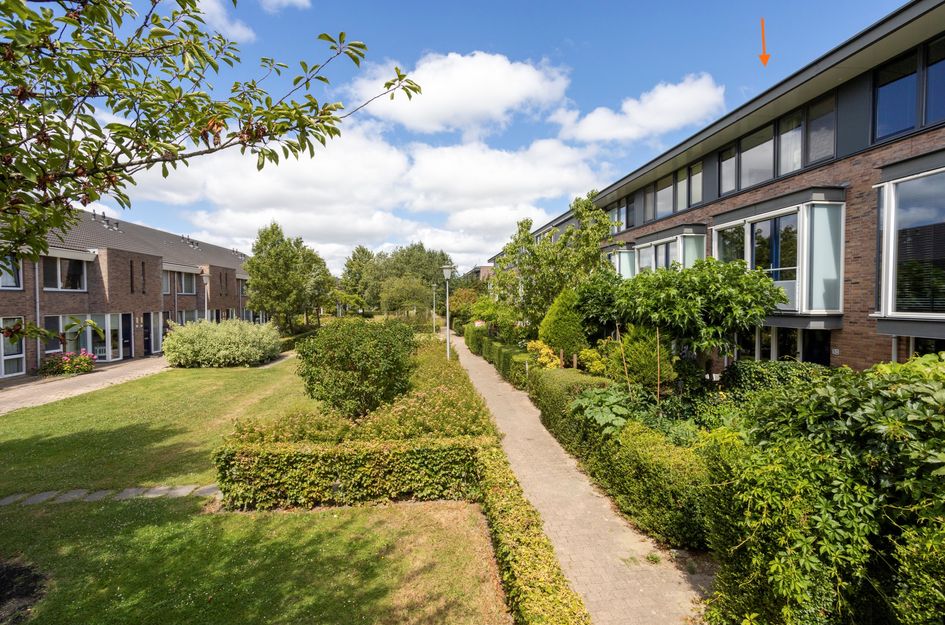 Hoornplantsoen 30