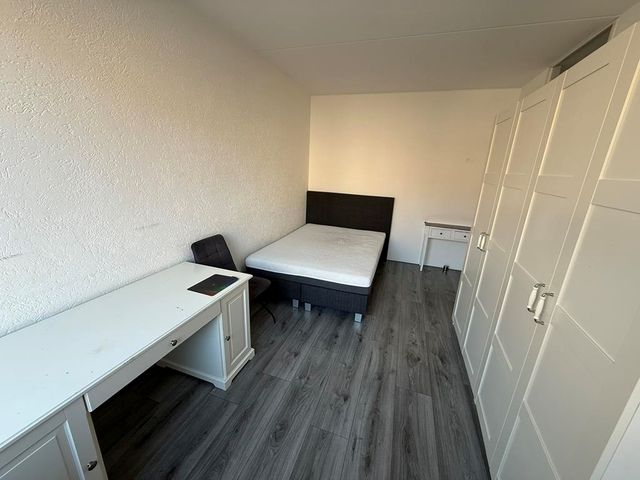 Dr. J.A. Ringersstraat 5, Amsterdam