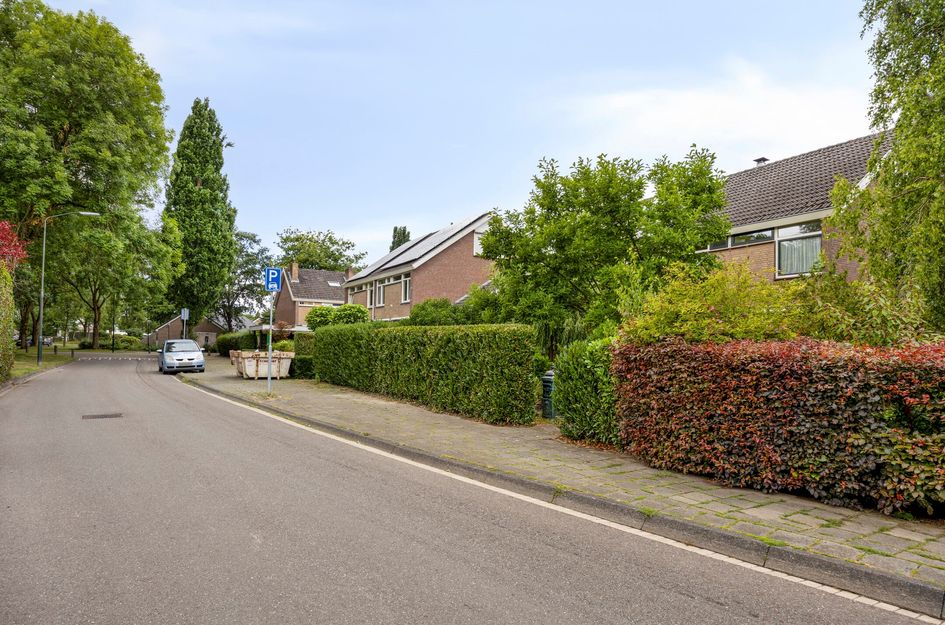 Hertogshoef 242