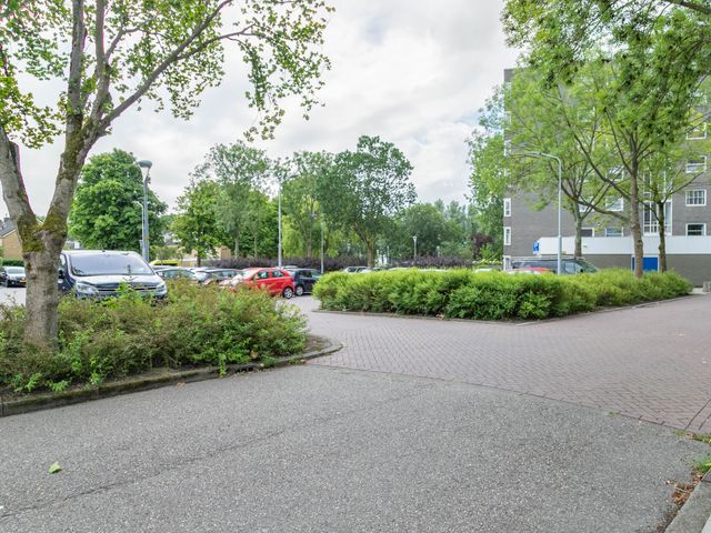 Graan voor Visch 16235, Hoofddorp