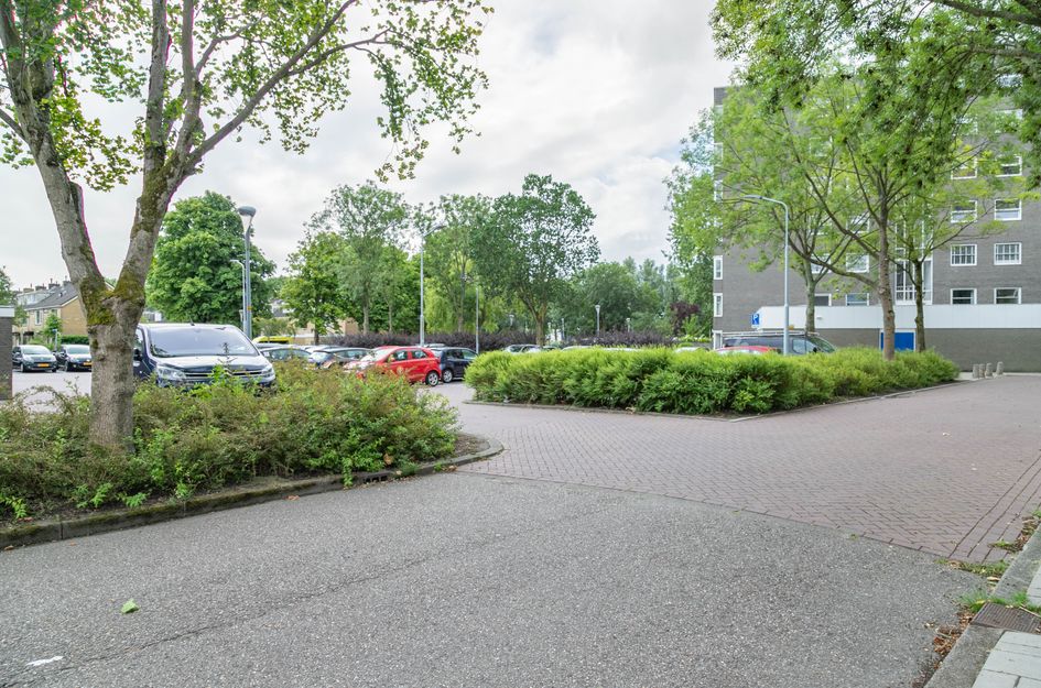 Graan voor Visch 16235
