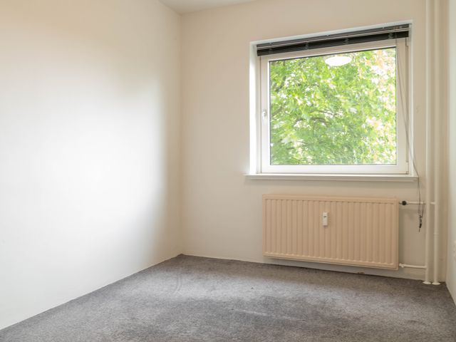 Graan voor Visch 16235, Hoofddorp