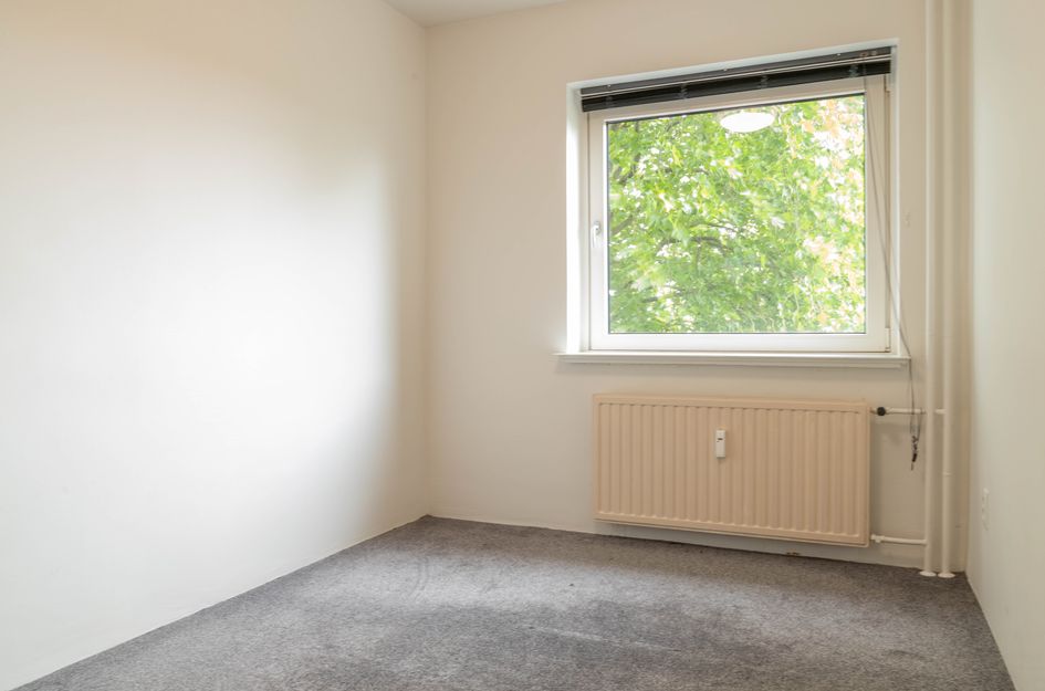 Graan voor Visch 16235