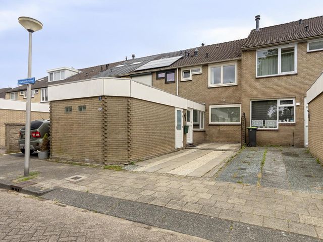 Salamanderveen 326, Spijkenisse