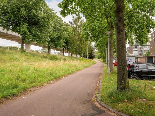 Buislaan 50B, Rotterdam
