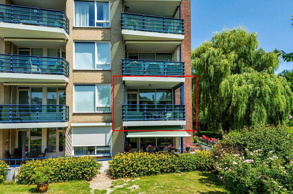 Veldzuring 21