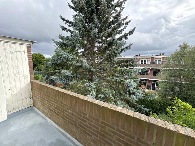 Cornelis van der Lijnstraat 80, Den Haag
